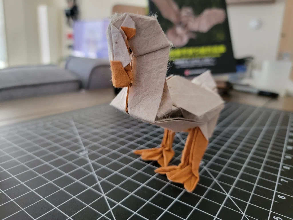 Photo of the folded model