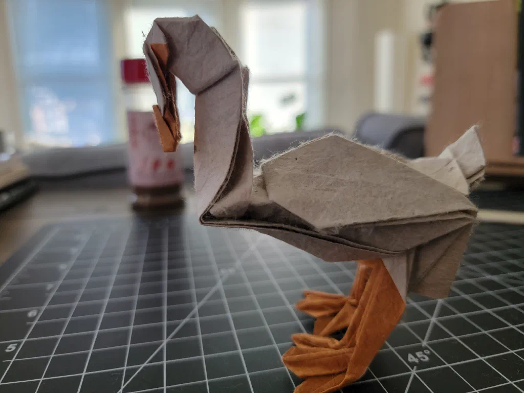 Photo of the folded model