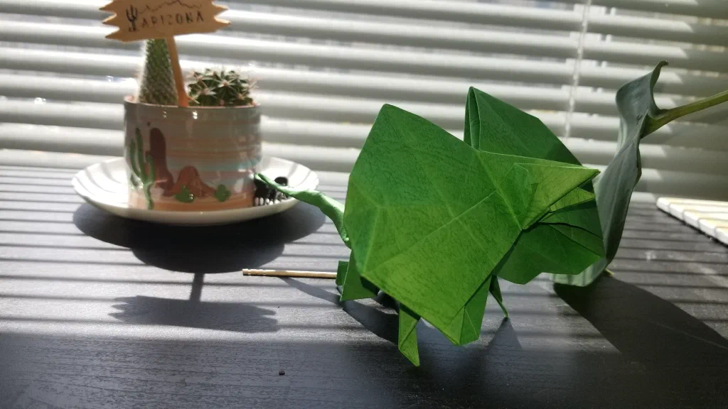 Photo of the folded model