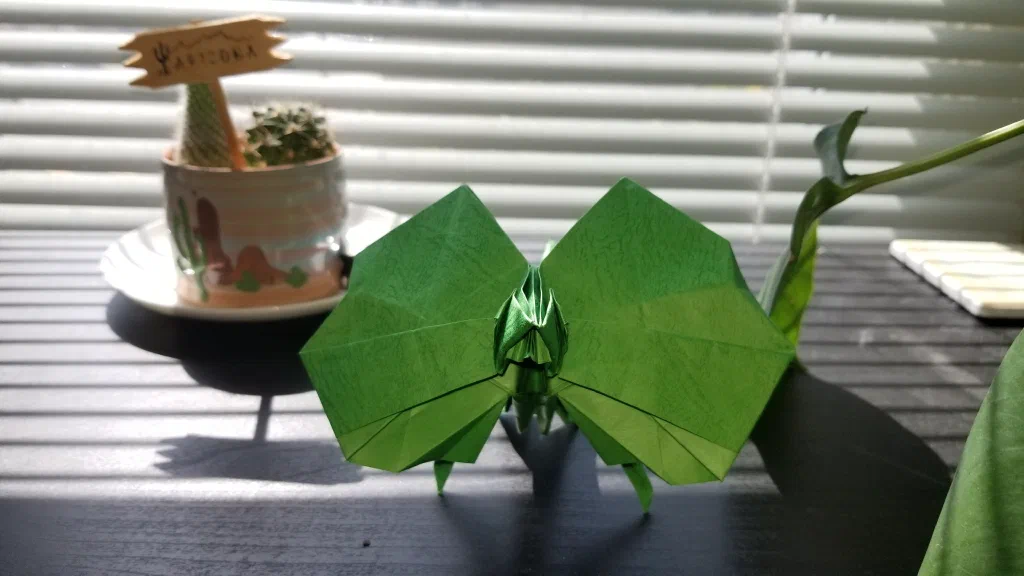 Photo of the folded model