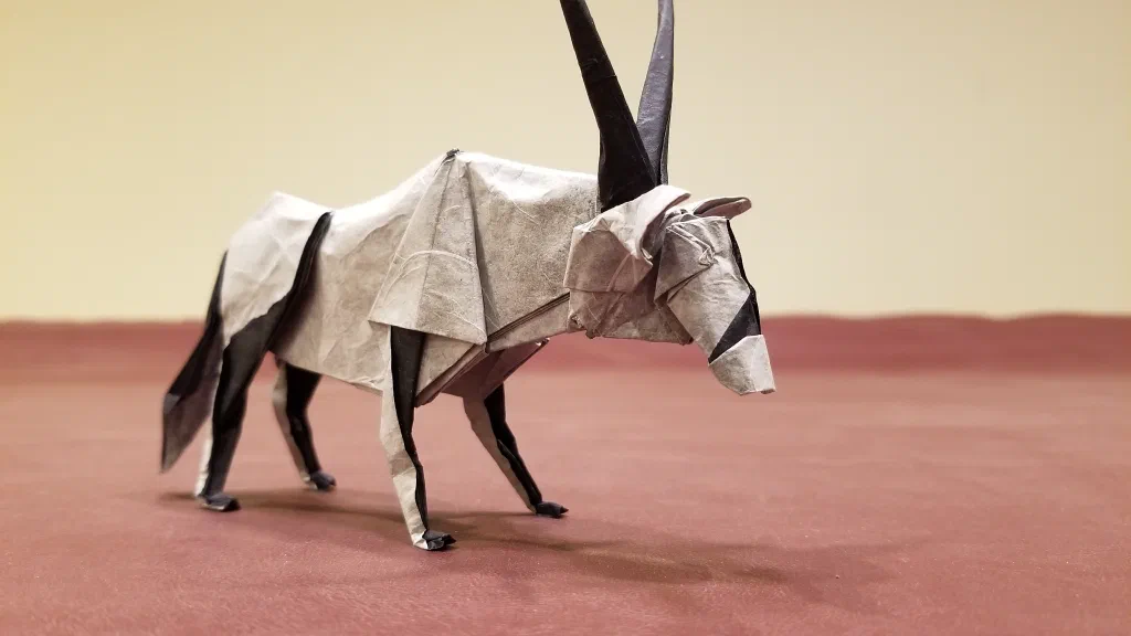 Photo of the folded model
