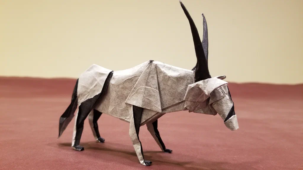 Photo of the folded model