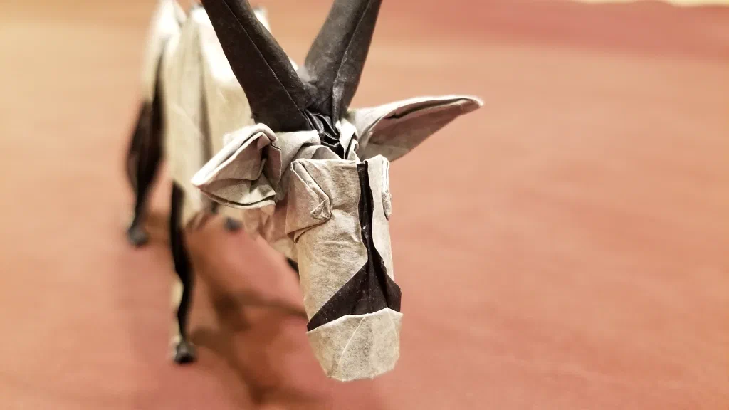 Photo of the folded model