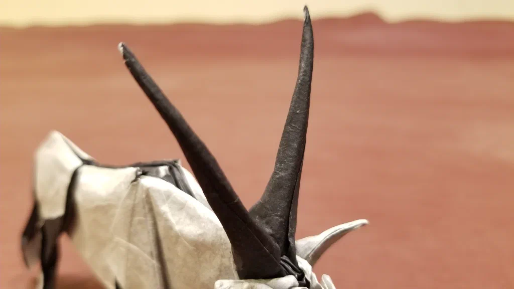 Photo of the folded model