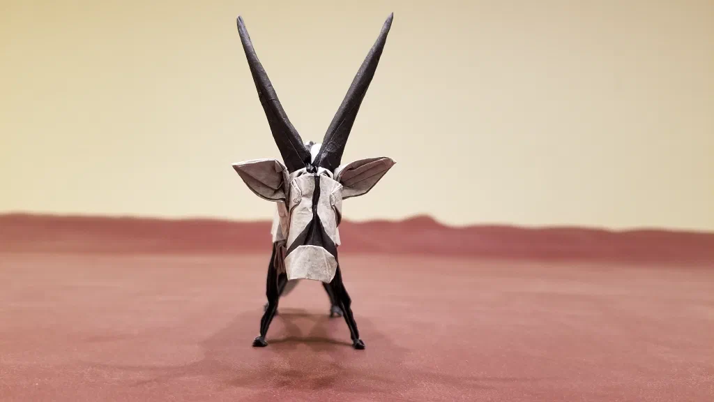 Photo of the folded model