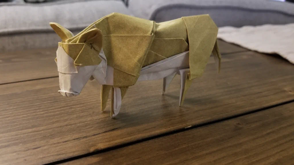 Photo of the folded model