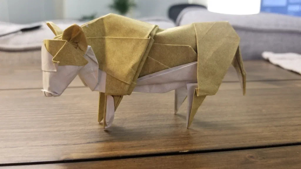 Photo of the folded model