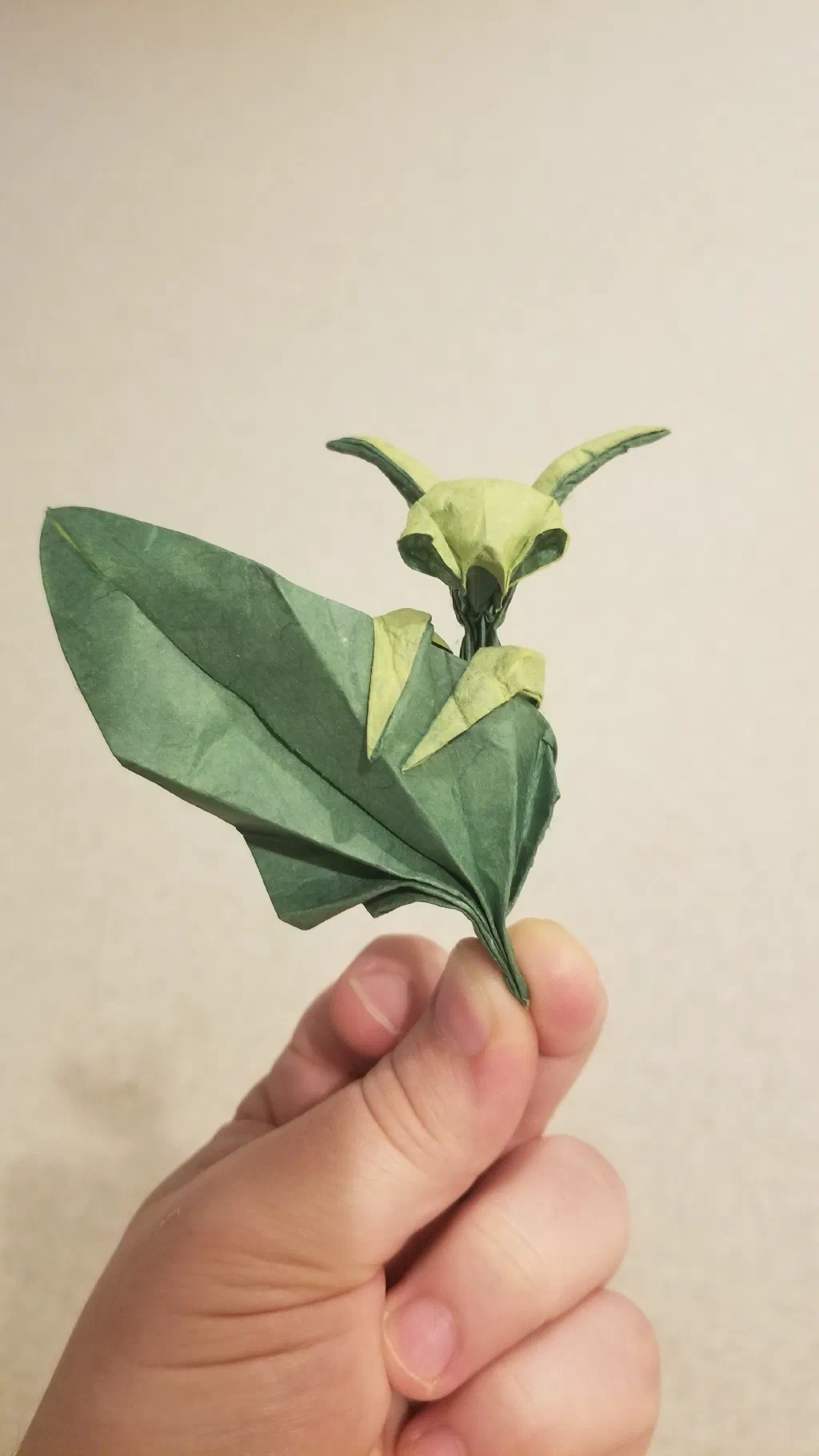 Photo of the folded model