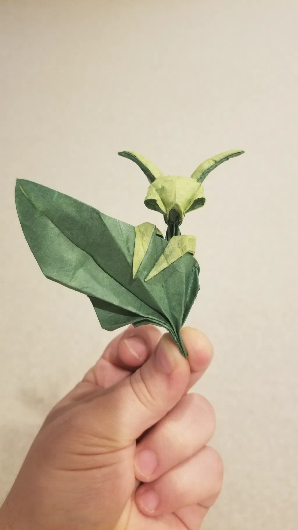 Photo of the folded model
