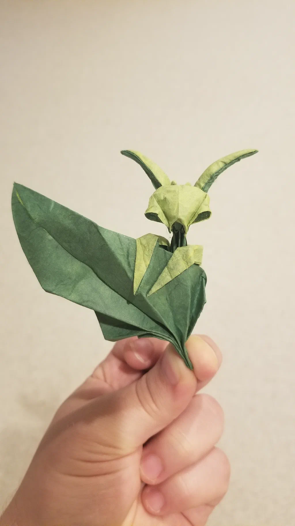 Photo of the folded model