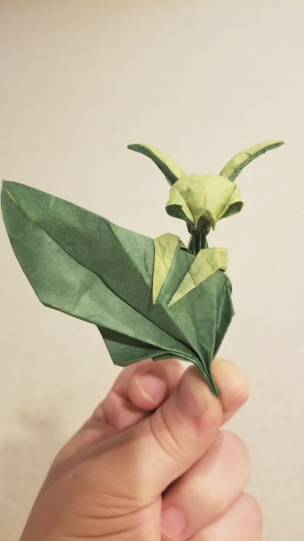 Photo of the folded model