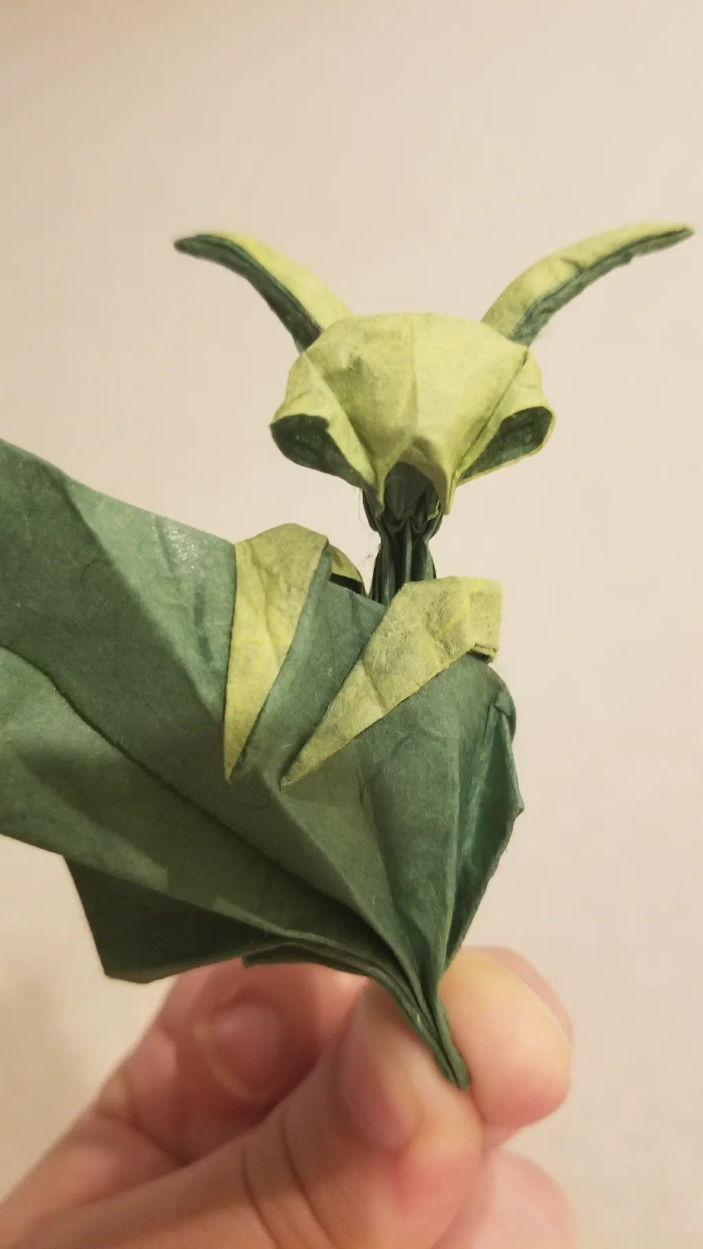 Photo of the folded model