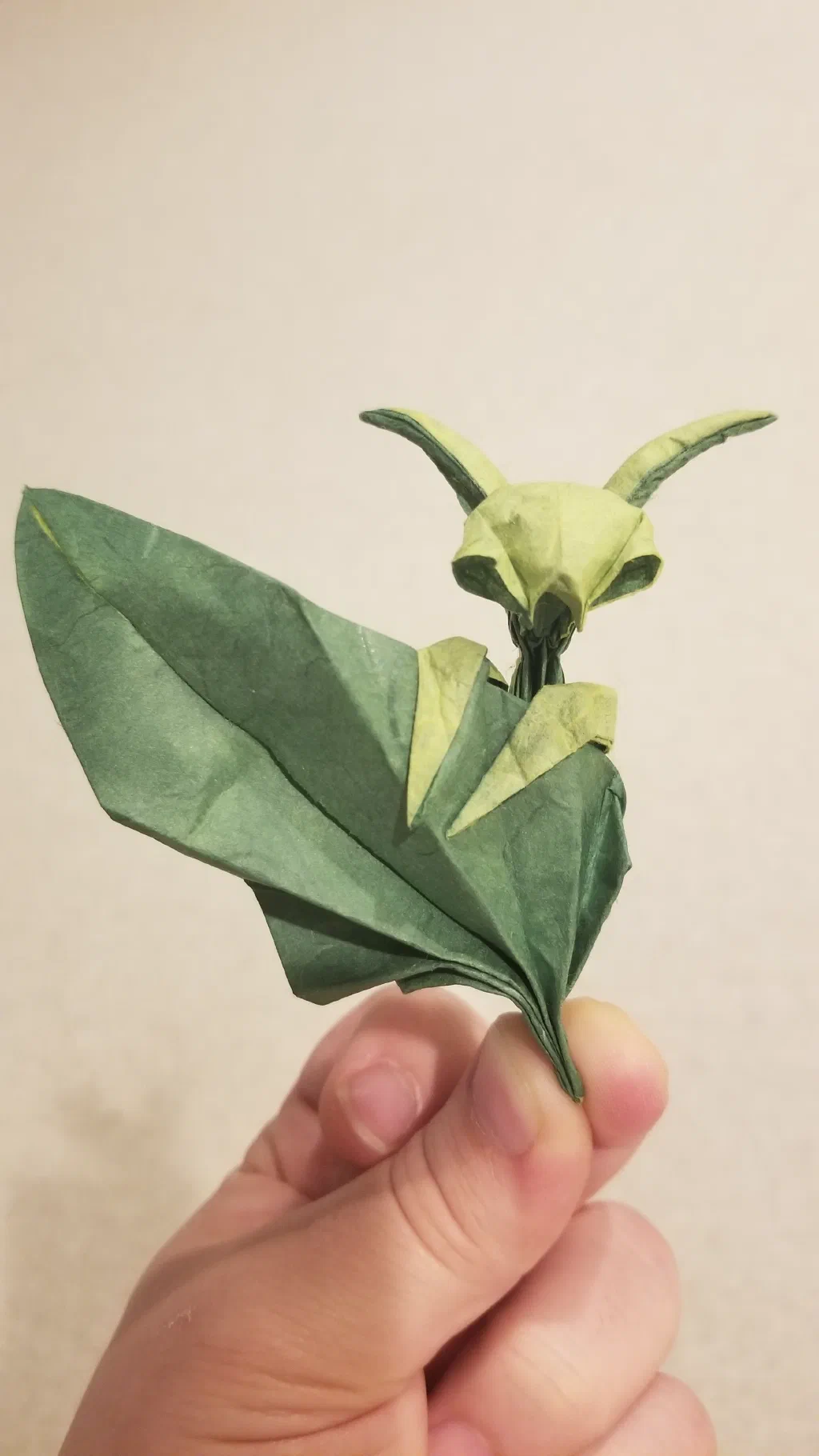 Photo of the folded model