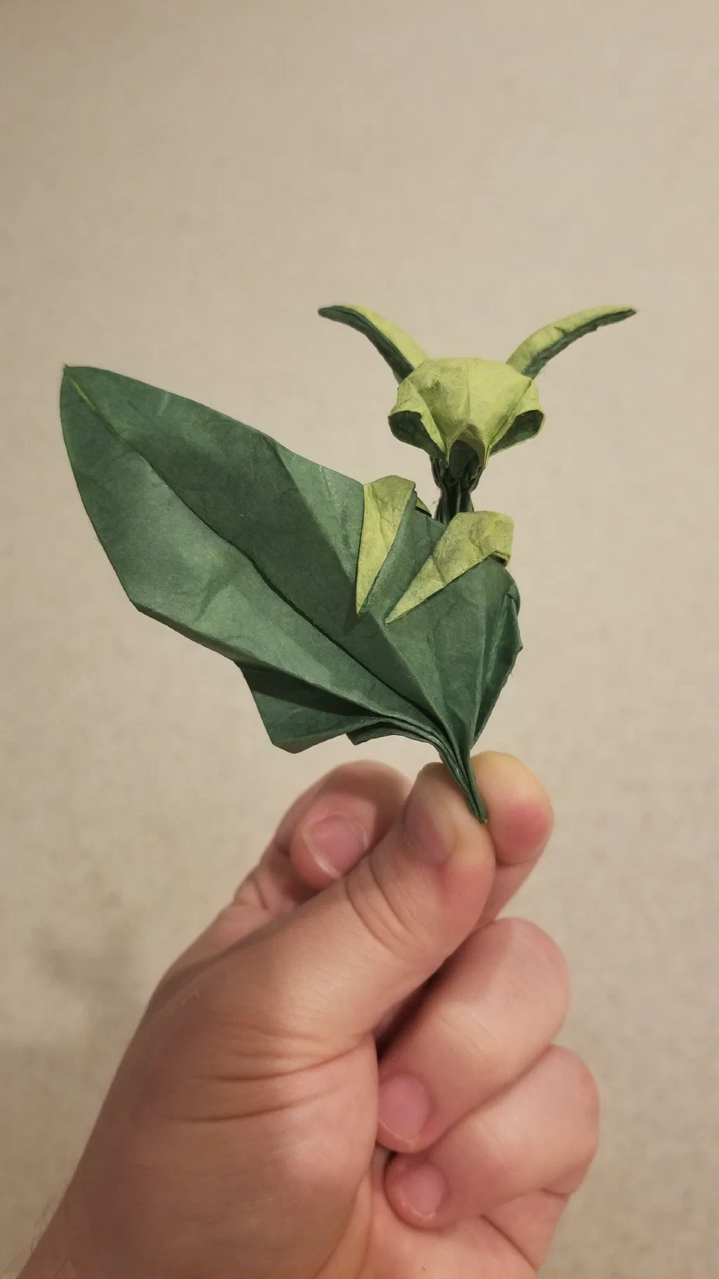 Photo of the folded model