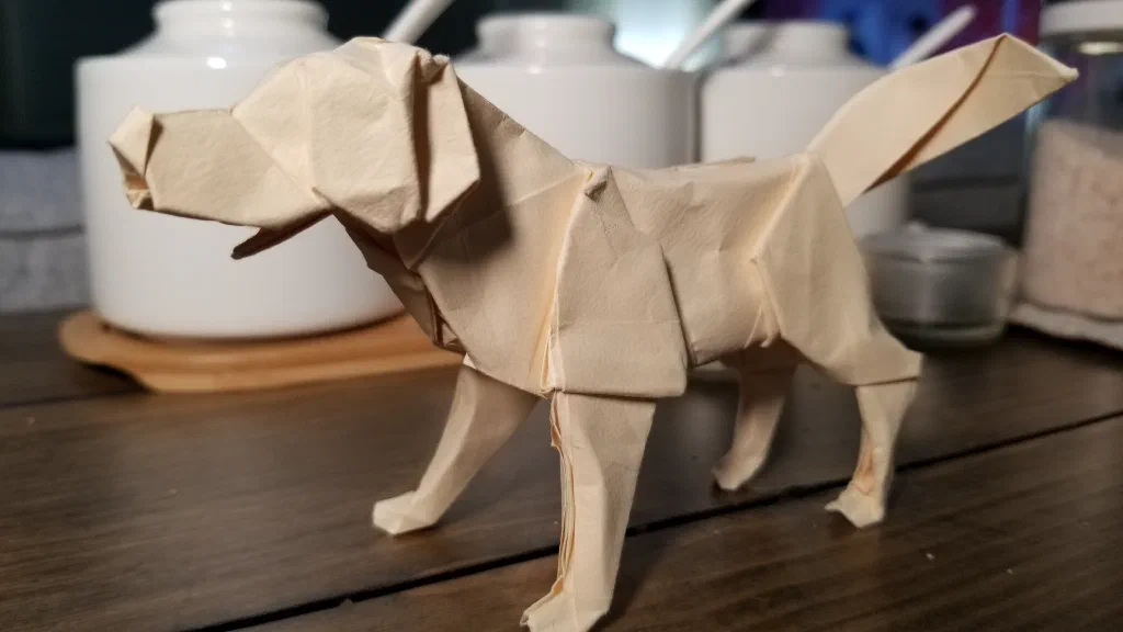 Photo of the folded model