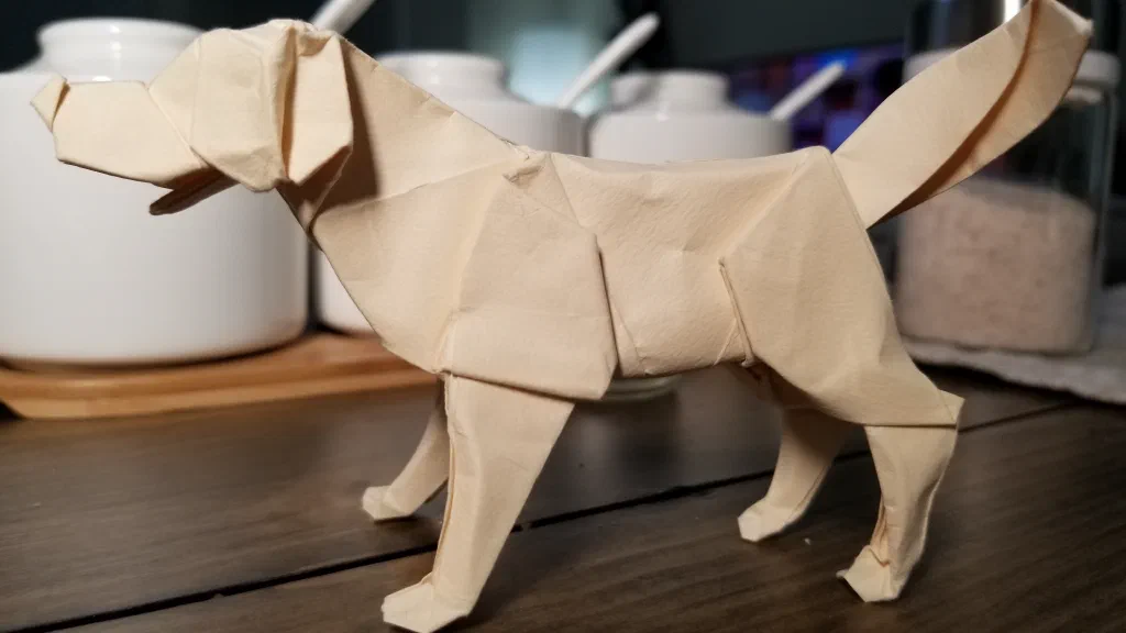 Photo of the folded model