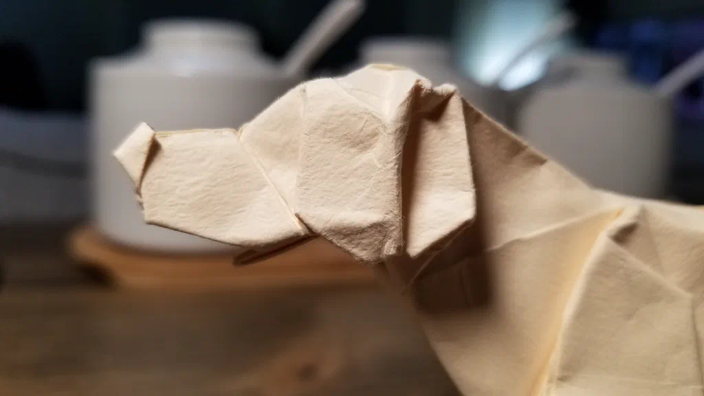 Photo of the folded model