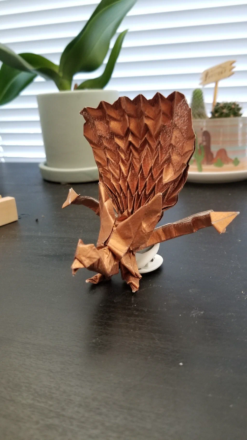 Photo of the folded model