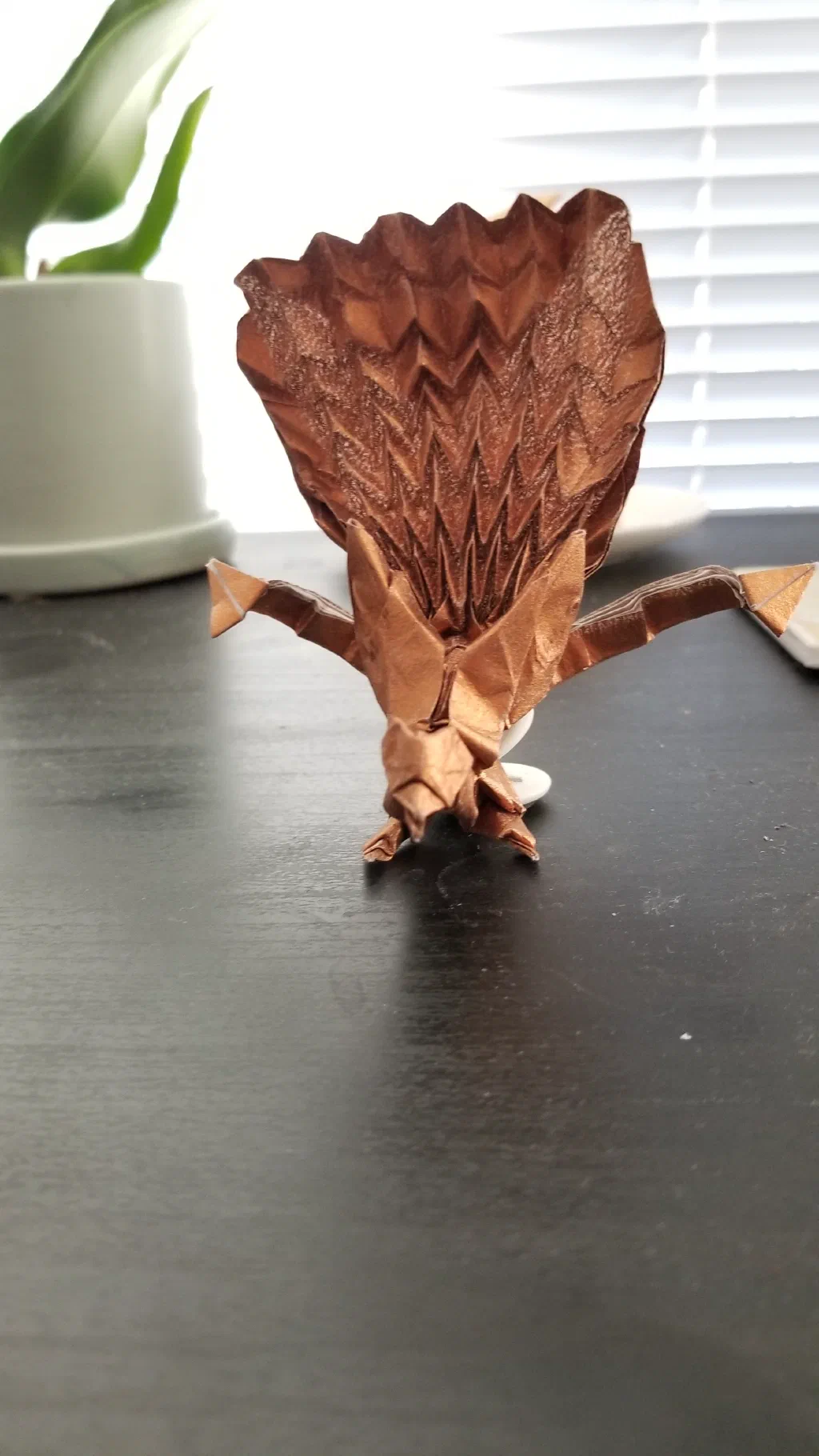 Photo of the folded model