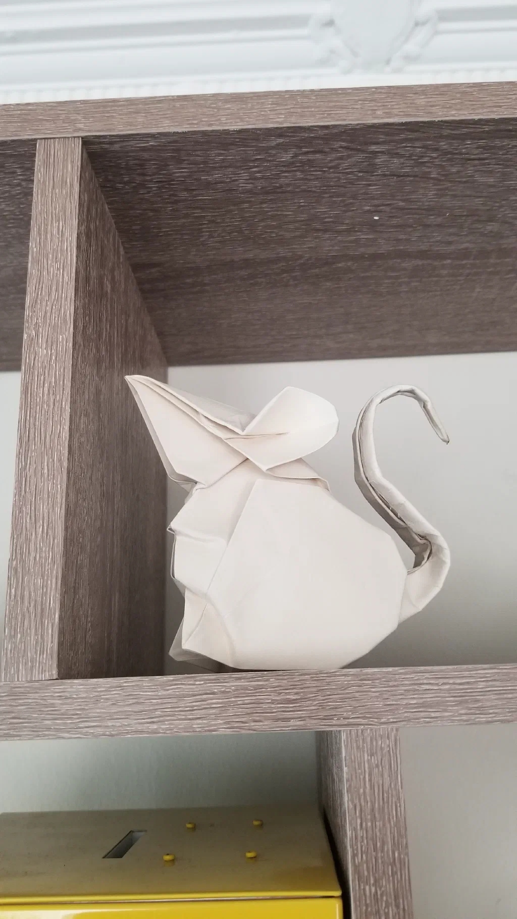 Photo of the folded model