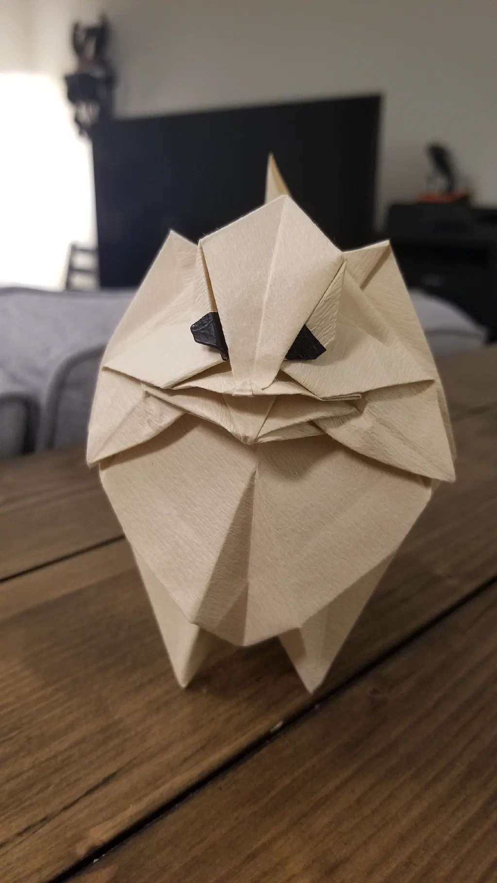 Photo of the folded model
