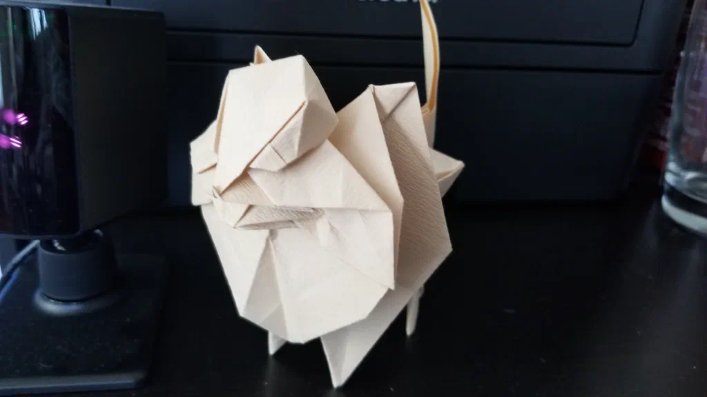 Photo of the folded model