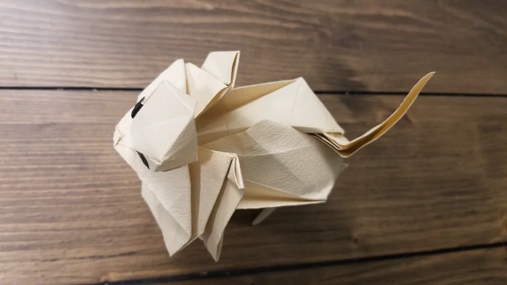 Photo of the folded model