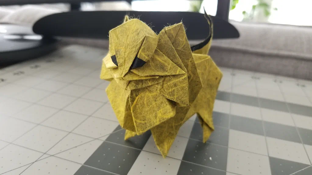 Photo of the folded model