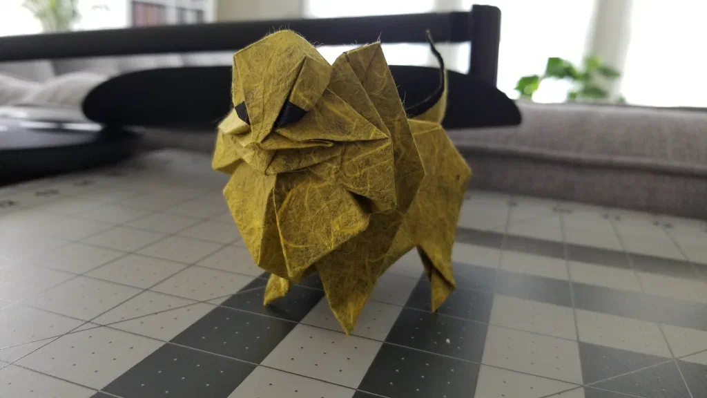 Photo of the folded model