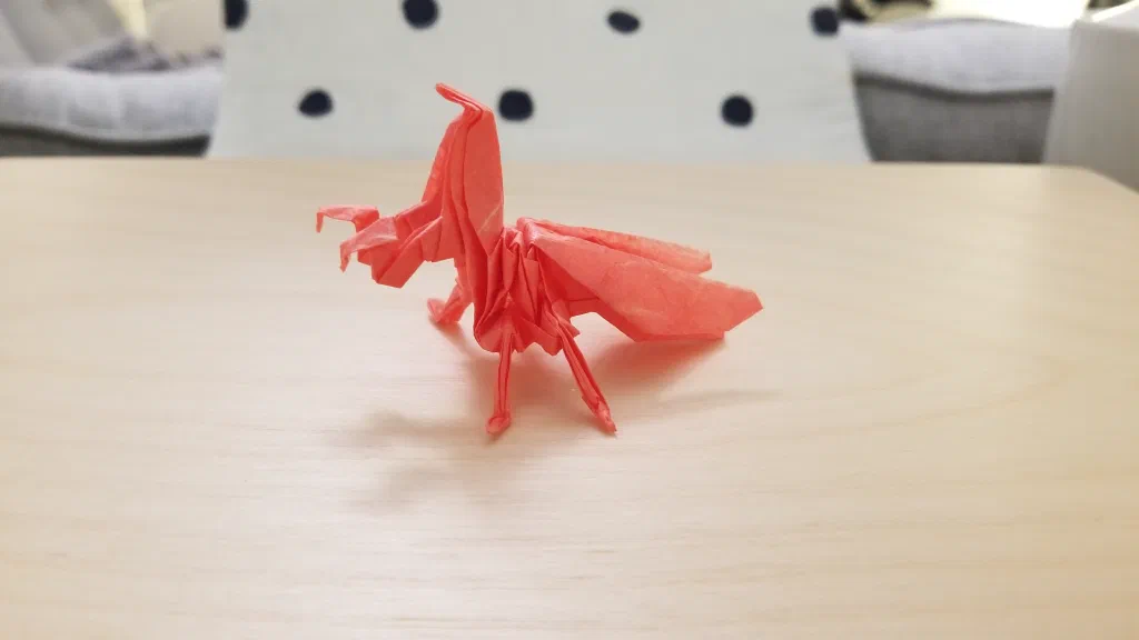 Photo of the folded model
