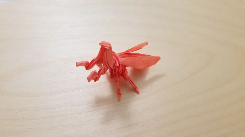 Photo of the folded model