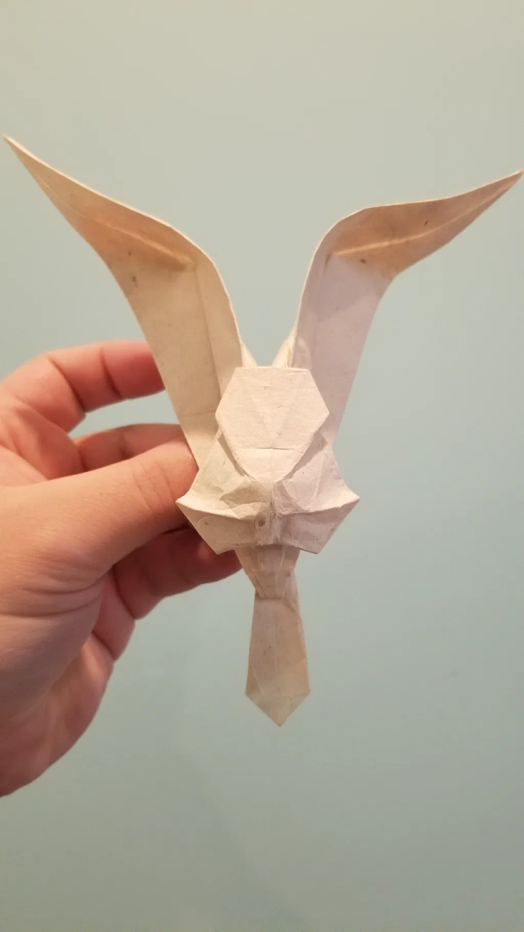 Photo of the folded model
