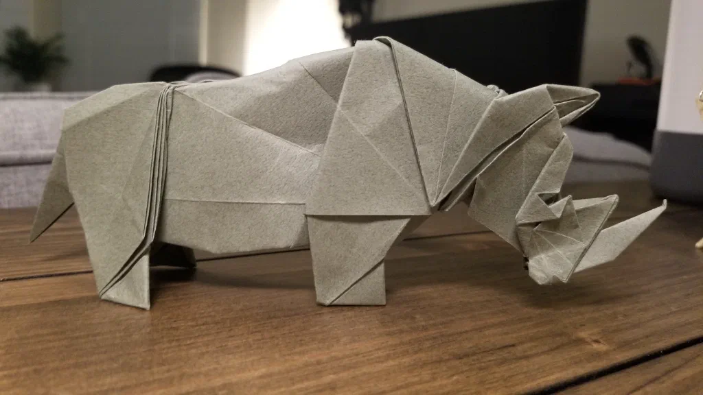 Photo of the folded model