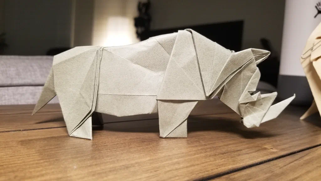 Photo of the folded model