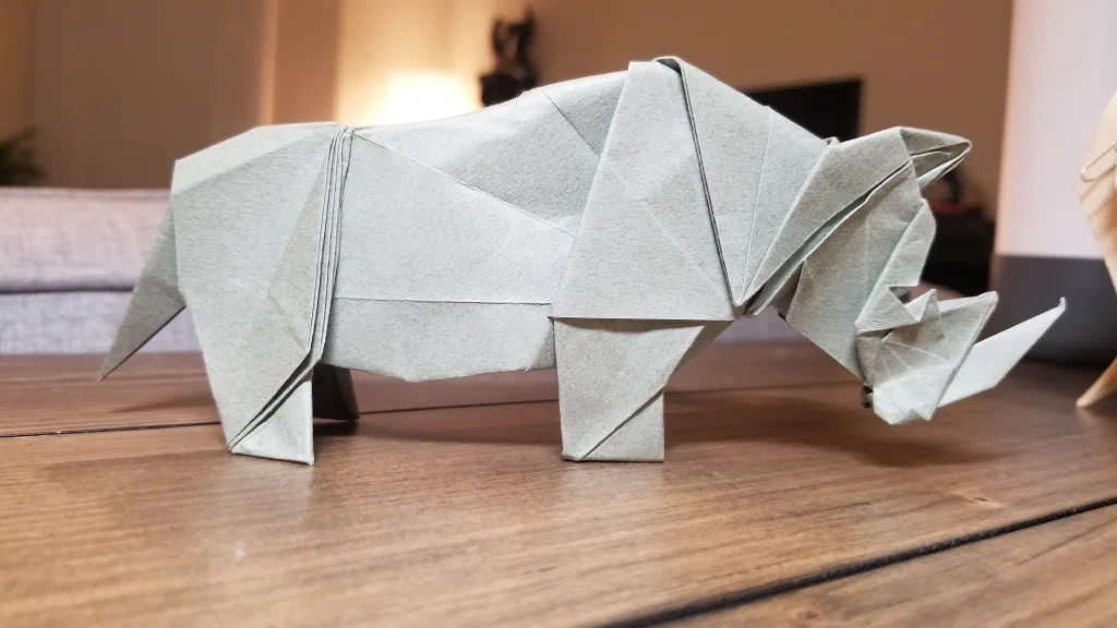 Photo of the folded model