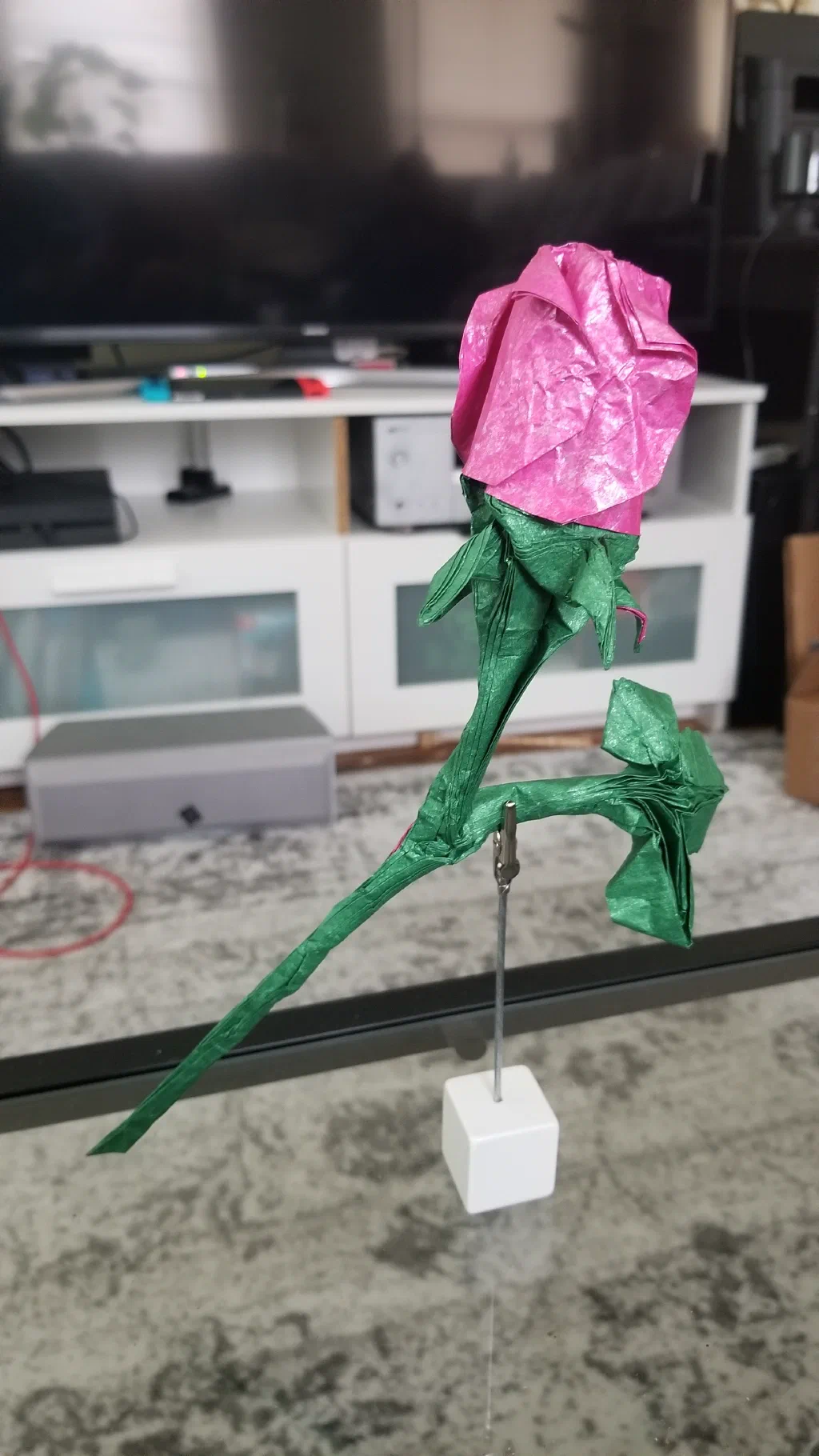 Photo of the folded model