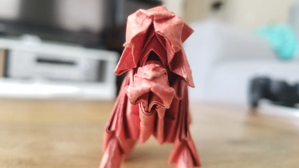 Photo of the folded model
