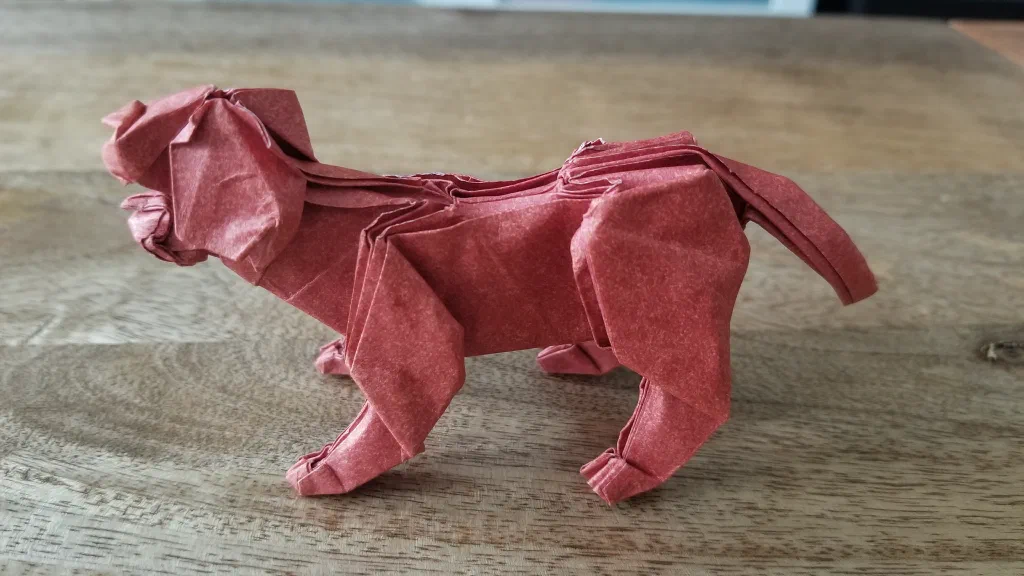 Photo of the folded model