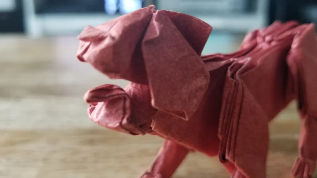 Photo of the folded model