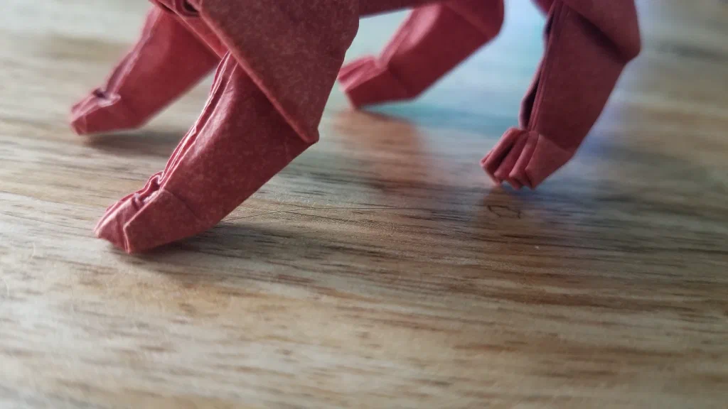 Photo of the folded model